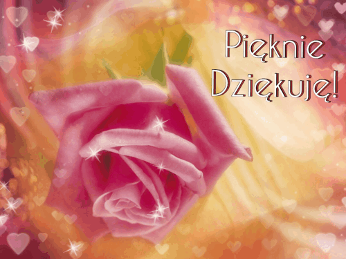 Róża - pięknie dziękuję